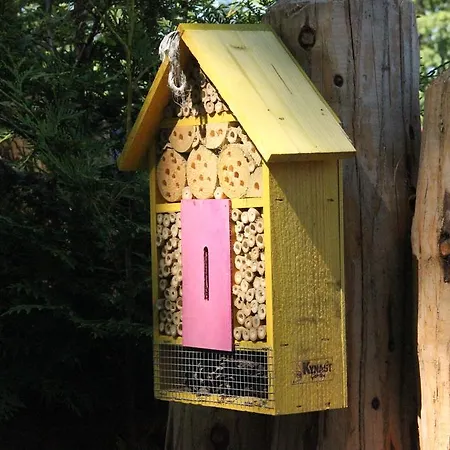 Haus Buhneneck Pansiyon